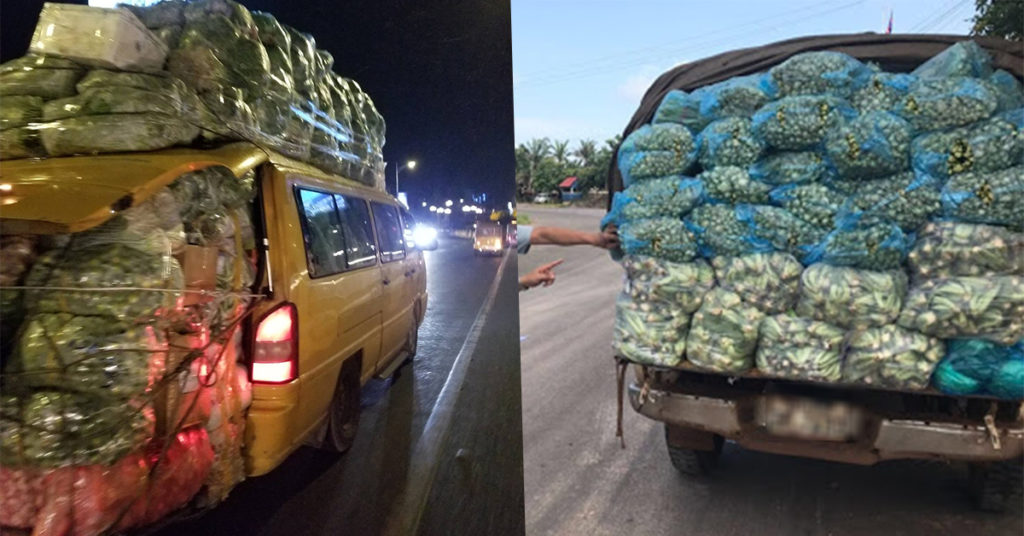 BREAKING: វៀតណាមបិទមិនឲ្យមានការនាំចូលបន្លែមកកម្ពុជា តាមច្រកជ្រៃធំ ខេត្តកណ្ដាល ដោយសារខ្លាចឆ្លងកូវីដ