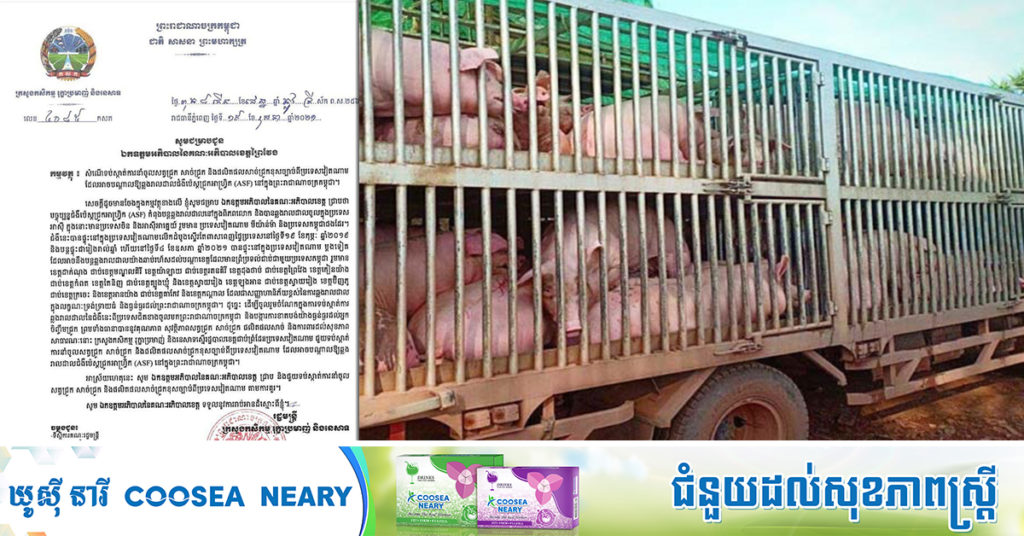 BREAKING: ជំងឺប៉េស្តជ្រូកអាហ្វ្រិកផ្ទុះឡើងជាថ្មីនៅប្រទេសវៀតណាម, រដ្ឋមន្ត្រី វេង សាខុន ស្នើឲ្យអភិបាលខេត្តជាប់ព្រំដែន ជួយទប់ស្កាត់ការនាំចូលសត្វជ្រូក សាច់ជ្រូក និងផលិតផលសាច់ជ្រូកខុសច្បាប់ពីវៀតណាម