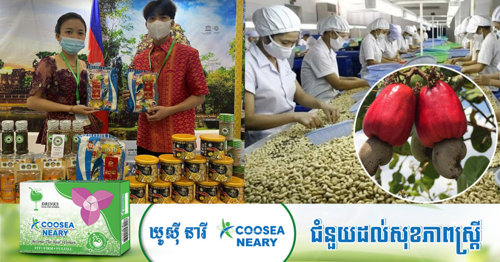 ក្រុមហ៊ុនមកពីជប៉ុន, ម៉ាឡេស៊ី និងសិង្ហបុរី គ្រោងសាងសង់រោងចក្រកែច្នៃគ្រាប់ស្វាយចន្ទីចំនួន៤កន្លែង នៅខេត្តចំនួន៣របស់កម្ពុជា