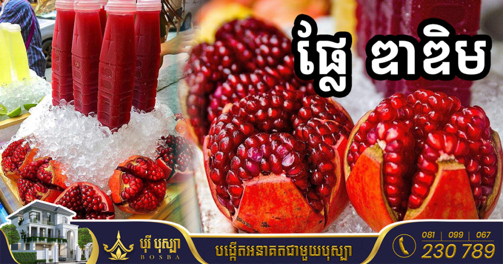 ទទួលទាន ផ្លែ ឌាឌិម ពិតជាជួយសុខភាពបានច្រើនមែន