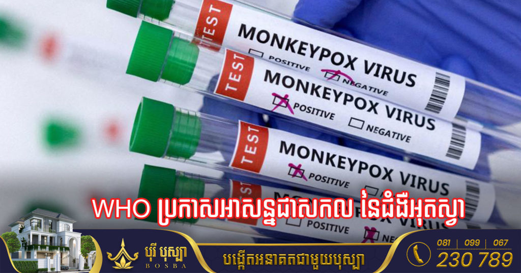 WHO ប្រកាសអាសន្នជាសកល នៃជំងឺអុតស្វា ខណៈករណីមានការឆ្លងកើនឡើង