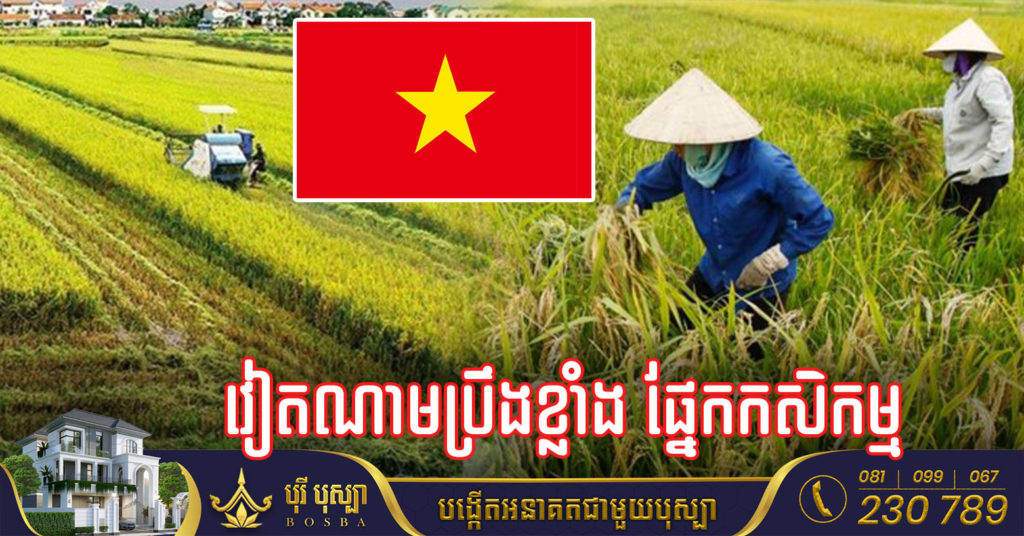 វៀតណាម កំពុងព្យាយាមដើម្បីជាប់ក្នុងចំណាត់ថ្នាក់កំពូលទាំង ១០លើពិភពលោកក្នុងការកែច្នៃកសិកម្ម