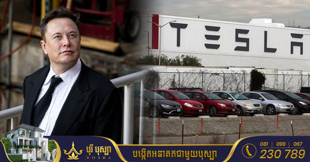 ទើបតែប្រកាសខាតរាប់ពាន់លាននៅរោងចក្រ Tesla តិចសាស់ ឥលូវ Elon Musk បង្ខំចិត្តផ្អាករោងចក្រដំឡើងរថយន្តថ្មីនៅអាល្លឺម៉ងមួយទៀត