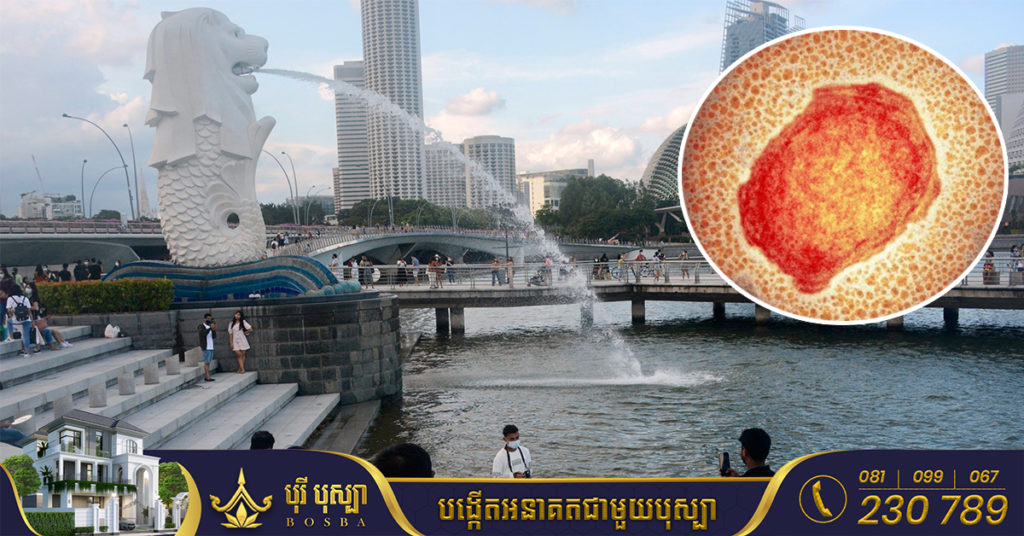 សិង្ហបុរីរកឃើញករណីឆ្លងជំងឺអុតស្វា Monkeypox ក្នុងសហគមន៍ជាលើកដំបូង