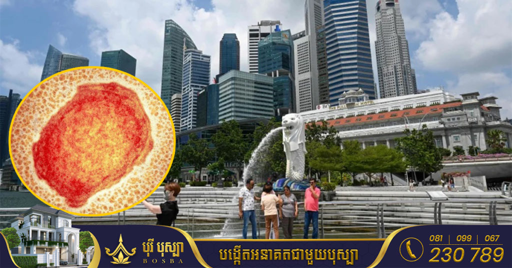 អ្នកឆ្លងជំងឺអុតស្វា Monkeypox នៅសិង្ហបុរីកើនដល់ ៤នាក់