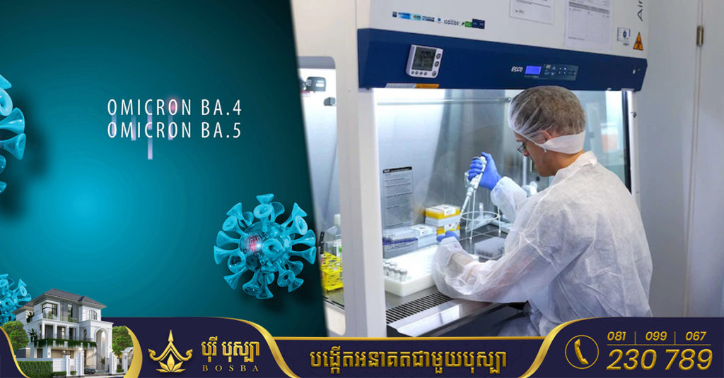 អ្នកជំនាញថៃអះអាងថា អូមីក្រុង BA.4 និង BA.5 មានគ្រោះថ្នាក់ជាងវ៉ារ្យ៉ង់បំប្លែងខ្លួនផ្សេងទៀត ខណៈប្រព័ន្ធភាពស៊ាំក្នុងរាងកាយមិនសូវមានប្រសិទ្ធភាពនោះទេពេលបានជួបមេរោគទាំង ២ប្រភេទនេះ