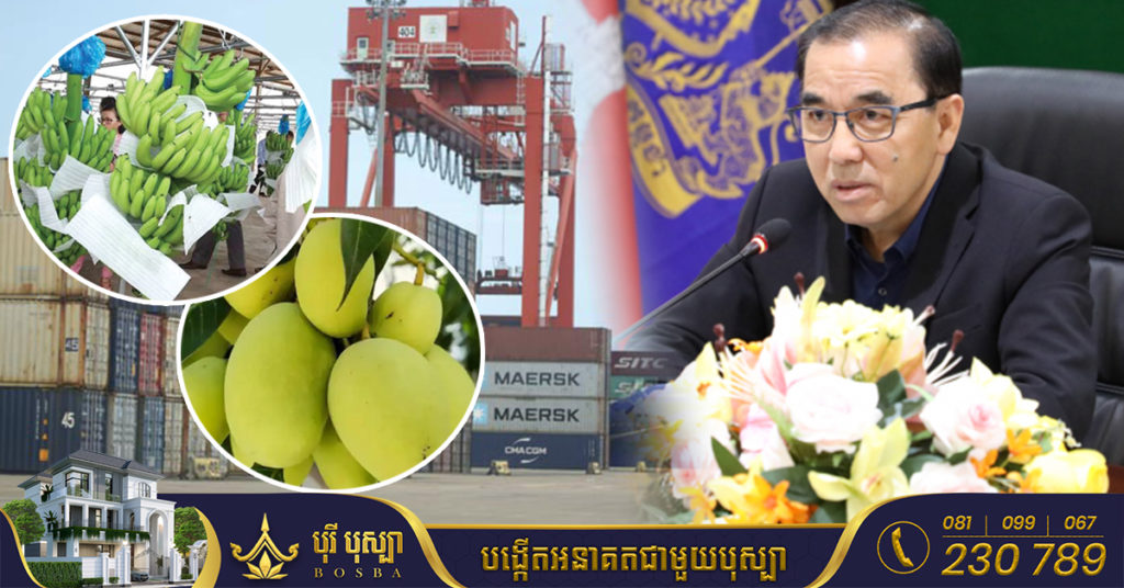 ជាង៣ឆ្នាំកន្លងមកនេះ កម្ពុជានាំចេញផលិតផលកសិកម្មទៅចិនក្នុងទំហំ២.៤លានតោន គិតជាថវិកាជិត២ពាន់លានដុល្លារ