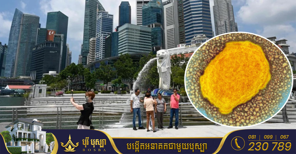 សិង្ហបុរីរកឃើញអ្នកឆ្លងជំងឺអុតស្វា Monkeypox ចំនួន ២ករណីបន្ថែមទៀត