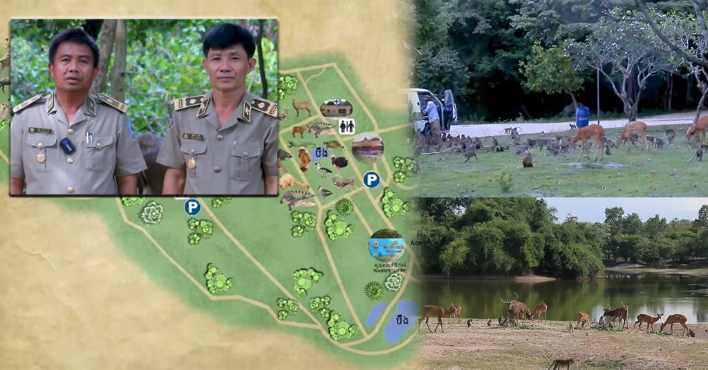 មន្ត្រីសួនសត្វភ្នំតាម៉ៅច្រានចោលព័ត៌មានថា សួនសត្វភ្នំតាម៉ៅមានគម្រោងរុះរើទៅខេត្តផ្សេង