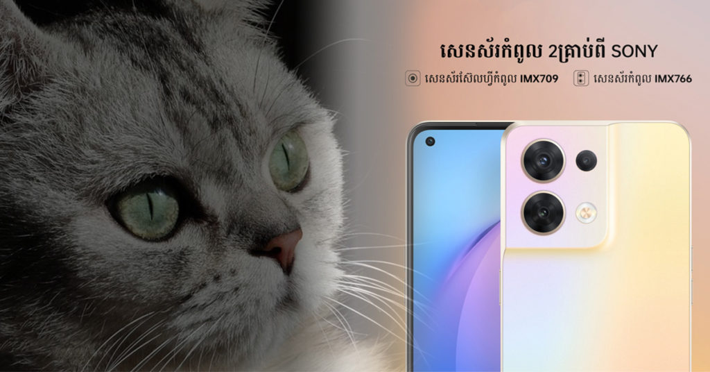 តើភ្នែកសត្វឆ្មាមានអ្វីពិសេស? ហេតុអ្វីបានជាគេប្រៀបប្រដូចភ្នែកឆ្មាទៅនឹងស្មាតហ្វូនស៊េរីថ្មី OPPO Reno8 Series?