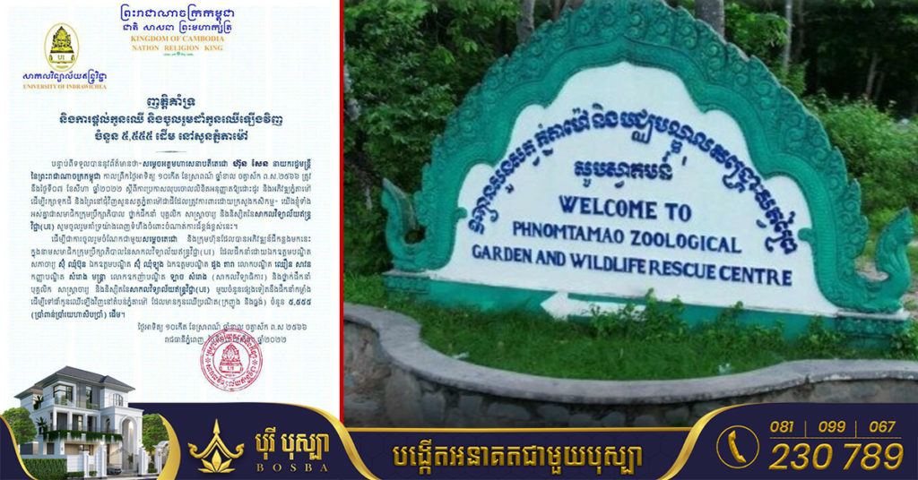 សាកលវិទ្យាល័យឥន្ទ្រវិជ្ជា ប្រកាសផ្ដល់កូនឈើ៥,៥៥៥ដើម និងចូលរួមដាំកូនឈើឡើងវិញនៅតំបន់ភ្នំតាម៉ៅ