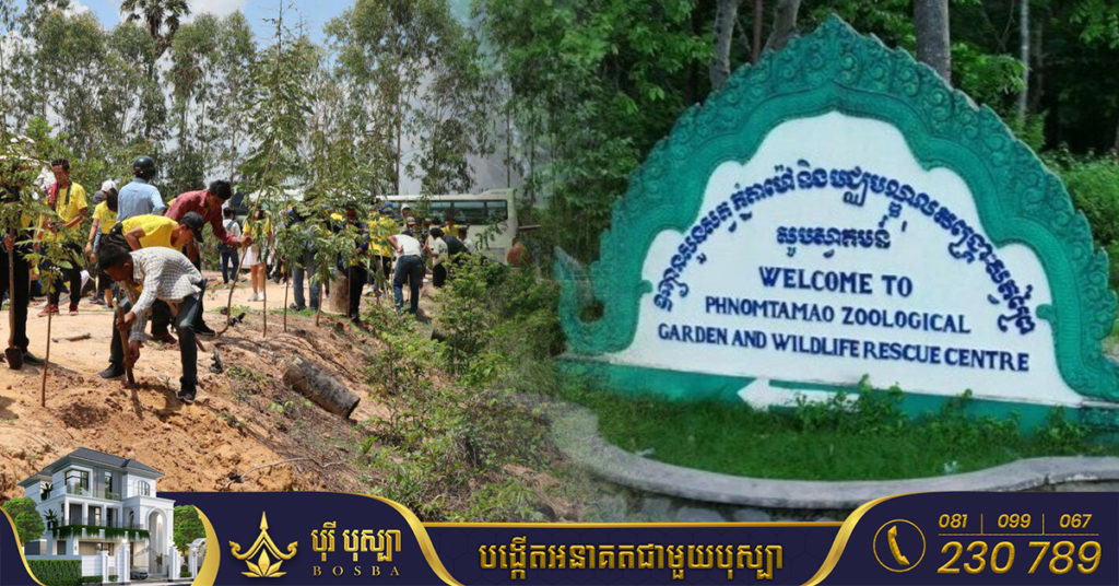 សប្បុរសជនជាច្រើននាំគ្នាបរិច្ចាគដើមឈើប្រភេទ បេង ធ្នង់ និងក្រញូង ដើម្បីដាំឡើងវិញនៅតំបន់ភ្នំតាម៉ៅ, នៅពេលនេះបានជាង១០ម៉ឺនដើមគ្រប់ចំនួនហើយ