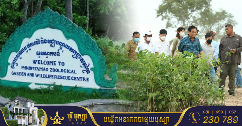 រដ្ឋបាលព្រៃឈើប្រើពេលវេលា១ខែ ធានាលើការដាំដុះកូនឈើ នៅភ្នំតាម៉ៅ