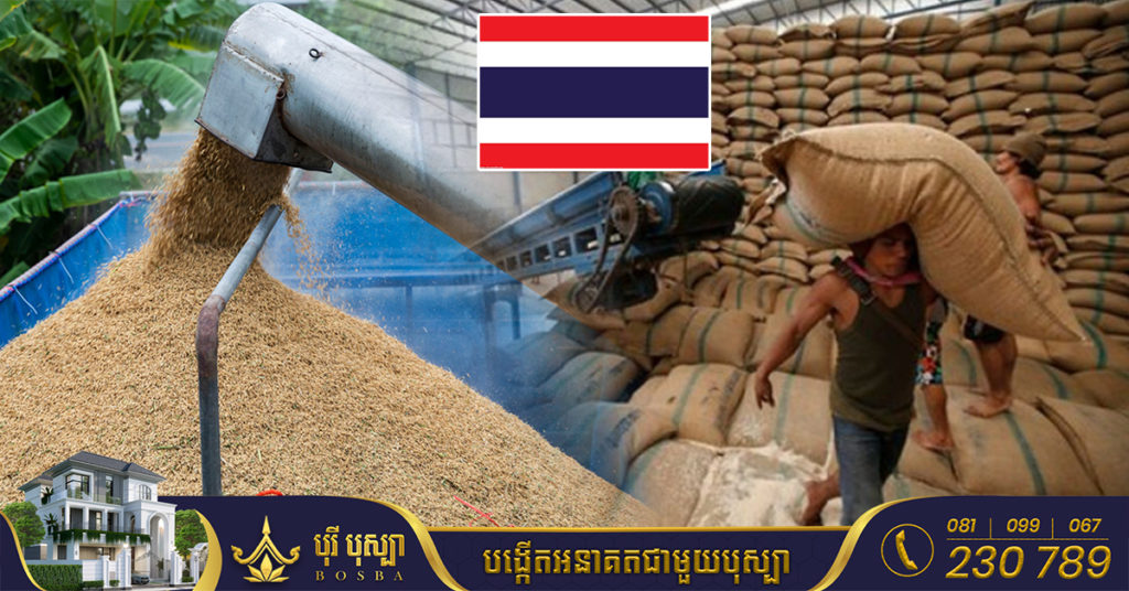 ​ថៃ ​អាច​នឹង​ក្លាយ​ជា​ប្រទេស​នាំ​ចេញ​អង្ករ​ធំ​ទី​ពីរ​របស់​ពិភពលោក​នៅ​ឆ្នាំ​នេះ ខណៈត្រឹម ៦ដំបូង ការនាំចេញអង្ករកើនឡើងជាង ៥៦%