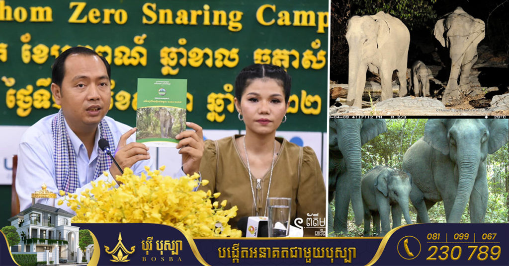 កម្ពុជា ត្រូវការថវិកាជាង៤០លានដុល្លារ ដើម្បីអភិរក្សដំរីព្រៃអាស៉ី ក្នុងរយៈពេល១០ឆ្នាំ