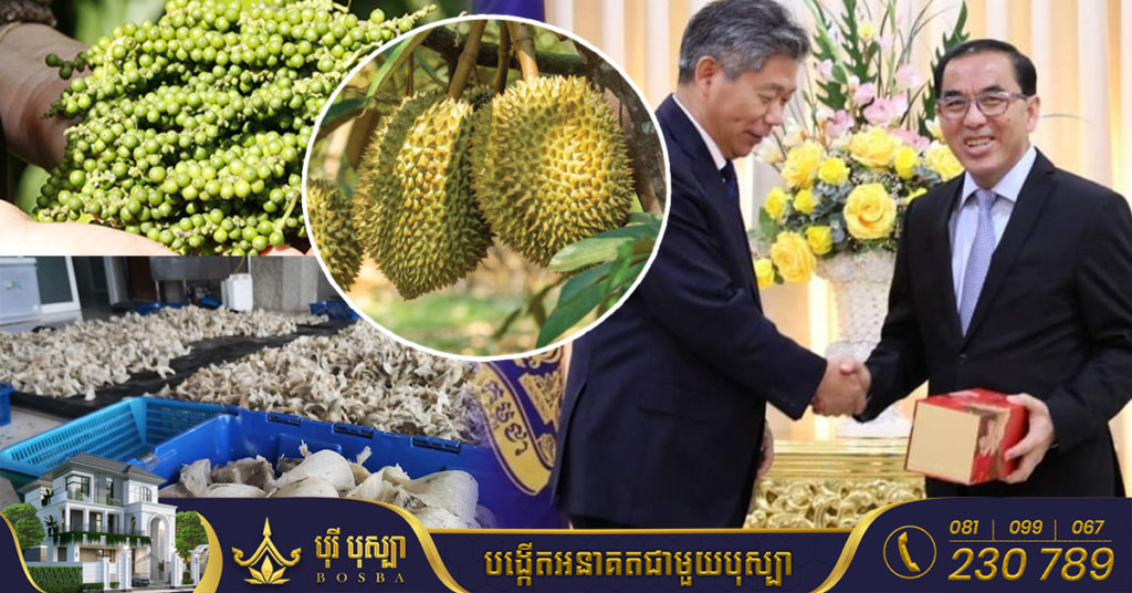 ក្រសួងកសិកម្ម ស្នើភាគីចិនពន្លឿនការបើកកិច្ចចរចា នាំចេញម្រេច ទឹកមាត់ត្រចៀកកាំ និងទុរេន