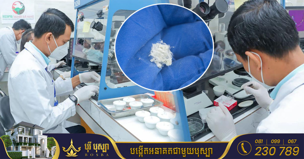 មន្ត្រីជំនាញ ក.ប.ប រកឃើញផលិតផលម្សៅលាបទារក និងកុមារ ១២មុខ មានសារធាតុអាសបេស្តូស ដែលអាចអោយកើតជំងឺមហារីក