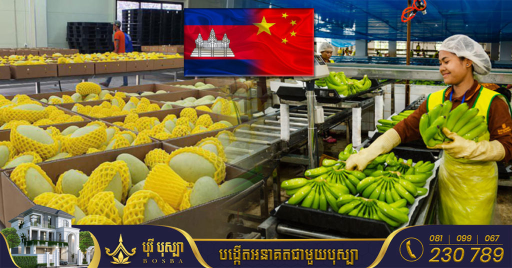 កម្ពុជា បាននាំចេញកសិផលទៅកាន់ប្រទេសចិនក្នុងតម្លៃជិត ២ពាន់លានដុល្លារ
