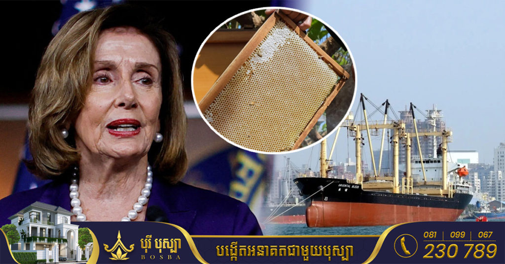 ចិន បានដាក់បម្រាមលើការនាំចេញរបស់ក្រុមហ៊ុនតៃវ៉ាន់ជាង ១០០ មុន​ពេល​លោកស្រី Pelosi មក​ទស្សនកិច្ច