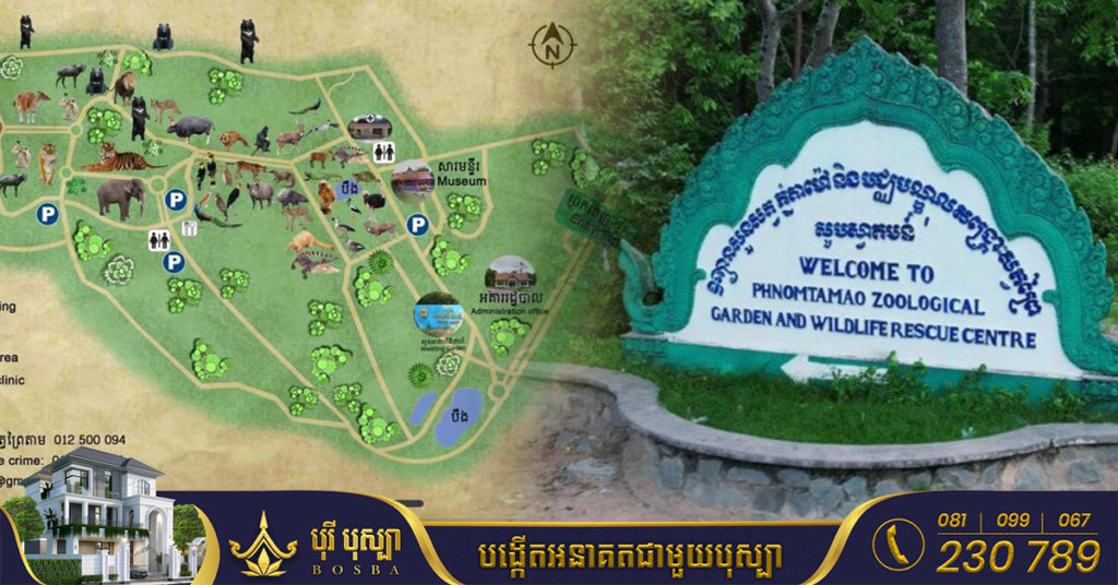 រដ្ឋបាលព្រៃឈើអះអាងថា ការអភិវឌ្ឍន៍នៅតំបន់ភ្នំតាម៉ៅ មិនបានឈូសឆាយប៉ះពាល់សួនភ្នំតាម៉ៅនោះទេ, សួនភ្នំតាម៉ៅជាង៤០០ហិកតានៅតែដដែល បងប្អូនប្រជាពលរដ្ឋចង់ទៅលេងពេលណាក៏បាន !