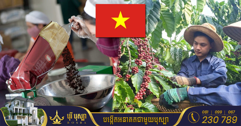 វៀតណាម នៅតែជាប្រទេសនាំចេញកាហ្វេធំទីពីររបស់ពិភពលោក ខណៈប្រទេសសេដ្ឋកិច្ចធំៗទាំង ៥នេះ ជាអ្នកនាំចូលកំពូលរបស់វៀតណាម