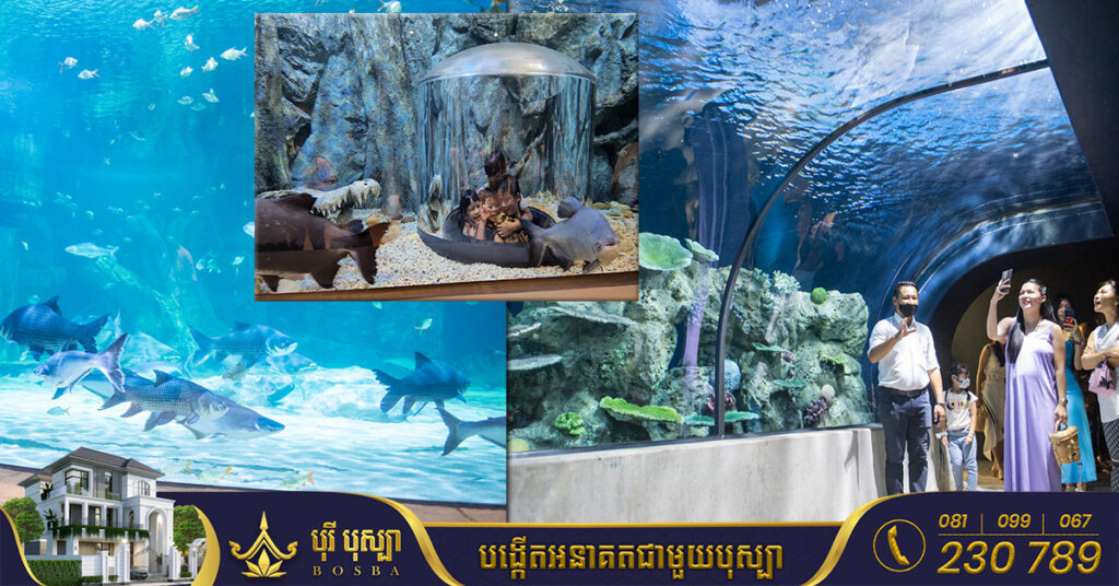 ឧទ្យាន​អាង​ចិញ្ចឹម​ត្រី​លំដាប់​ពិភពលោក និងសួនសត្វ នៅខេត្តសៀមរាប សាងសង់លើផ្ទៃដីជាង ១០០ ហិកតា ទុនវិនិយោគសរុប ៧០ លានដុល្លារ គ្រោង​នឹង​បើក​នៅ​ ចុងខែតុលា ឆ្នាំ២០២២