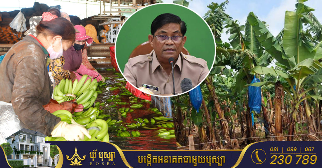 ខេត្តរតនគិរី កំពុងខ្វះកម្លាំងពលកម្មជាង ២ម៉ឺននាក់