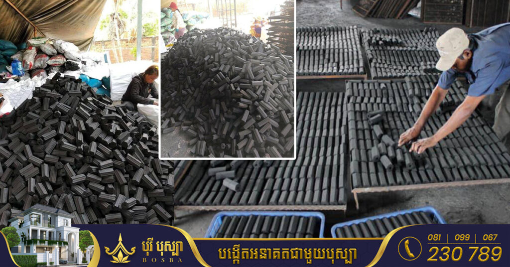 យុវជន លី សុវណ្ណដា មានគំនិតច្នៃអាចម៍រណារទៅជាធ្យូងអនាម័យដែលអាចរកចំណូលបាន ៤០០០ដុល្លារក្នុងមួយខែ