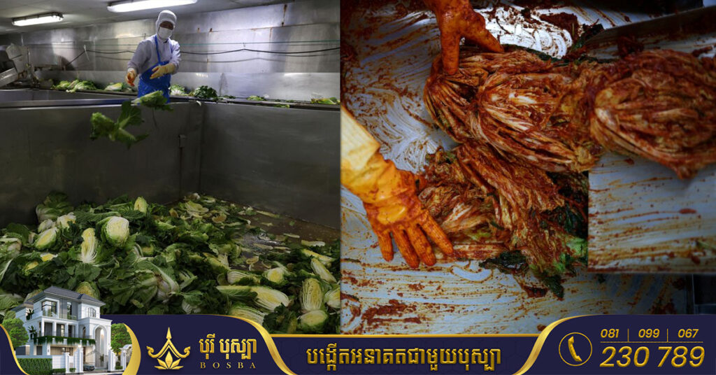 កូរ៉េខាងត្បូង បញ្ចេញថវិកា៤០លានដុល្លារដើម្បីដោះស្រាយវិបត្តិគីមឈី