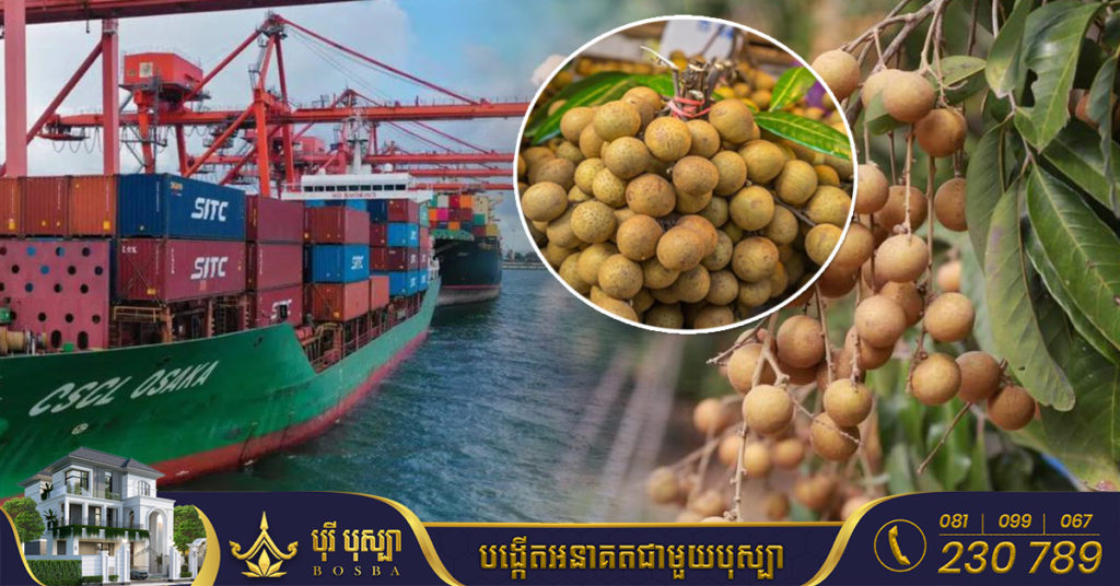 មៀនប៉ៃលិន ឬតាង៉ែន ត្រូវបានអនុញ្ញាតឱ្យនាំចេញទៅកាន់ប្រទេសចិនជាផ្លូវការហើយ