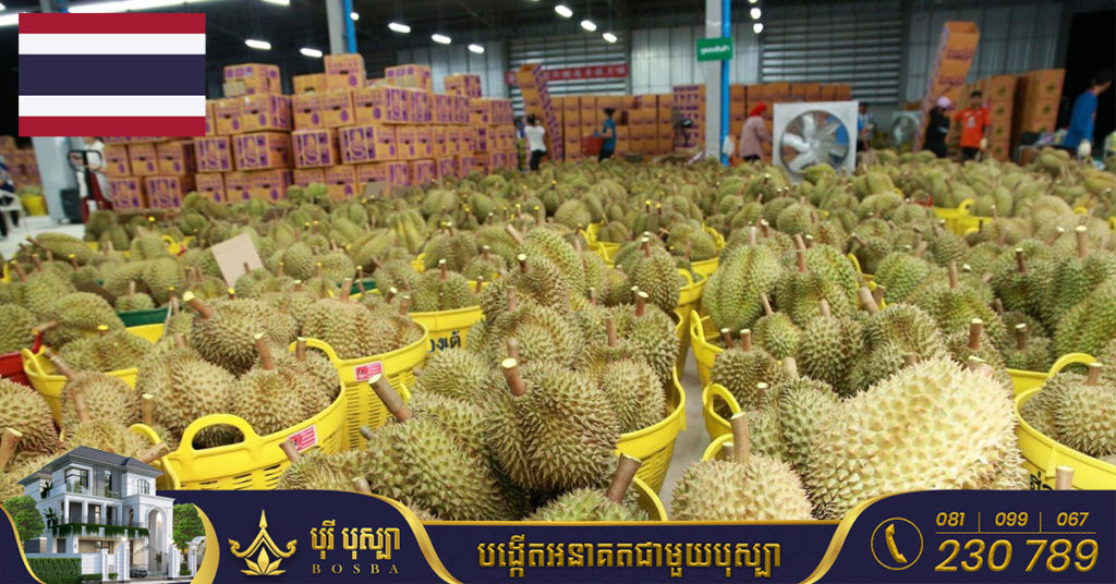 ទុរេនគ្មានគុណភាពជិត ៤០តោន ត្រូវអាជ្ញាធរថៃឃាត់ទុកនៅច្រកព្រំដែន ខណៈជនខិលខូចកំពុងព្យាយាមនាំចេញទៅក្រៅប្រទេស