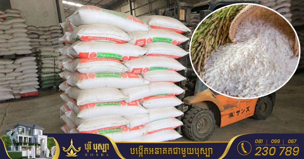 កម្ពុជានាំចេញស្រូវ និងអង្ករទទួលបានចំណូល ៨៥០លានដុល្លារ នៅរយៈពេល៩ខែឆ្នាំនេះ