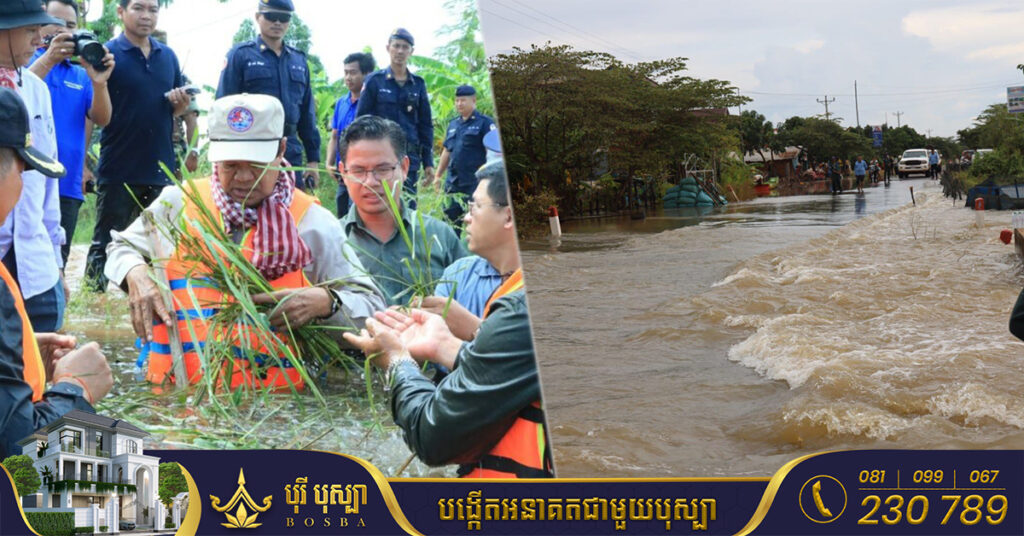 ខេត្តបន្ទាយមានជ័យ គ្រោងស្តារឡើងវិញដំណាំស្រូវចំនួន ១៥ ០០០ហិកតា ក្រោយពេលទឹកជំនន់ស្រកចុះ