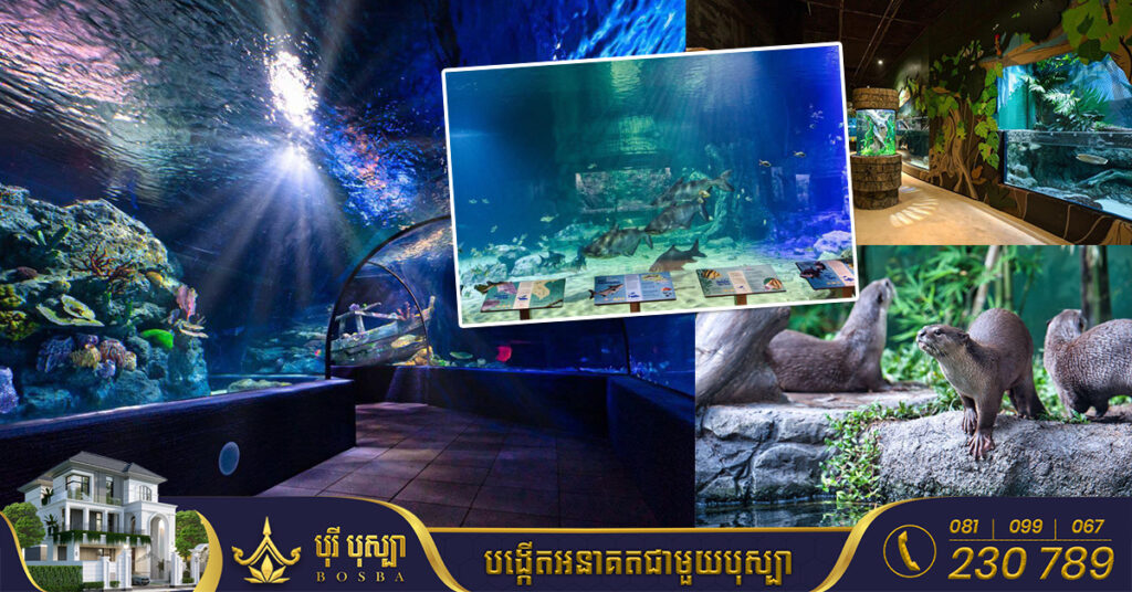 អាងពិព័រណ៌ត្រីទឹកសាប ទឹកប្រៃ និងសត្វជាច្រើនប្រភេទនៅខេត្តសៀមរាប នឹងបើកដំណើរការចាប់ពីថ្ងៃទី០១ ខែវិច្ឆិកា ឆ្នាំ២០២២នេះតទៅ