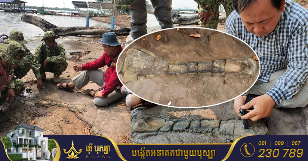 ផូស៊ីលឆ្អឹងសត្វដែលរកឃើញនៅកោះប៉ោ ត្រូវបានសន្និដ្ឋានជាជំហានដំបូងថា ជាឆ្អឹងសត្វដាយណូស័រ