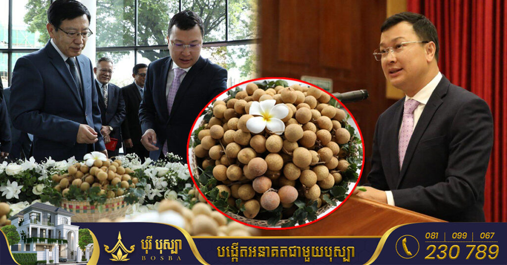 ផ្លែមៀនស្រស់របស់កម្ពុជា ត្រូវបានសម្ពោធនាំចេញជាផ្លូវការ ទៅប្រទេសចិន