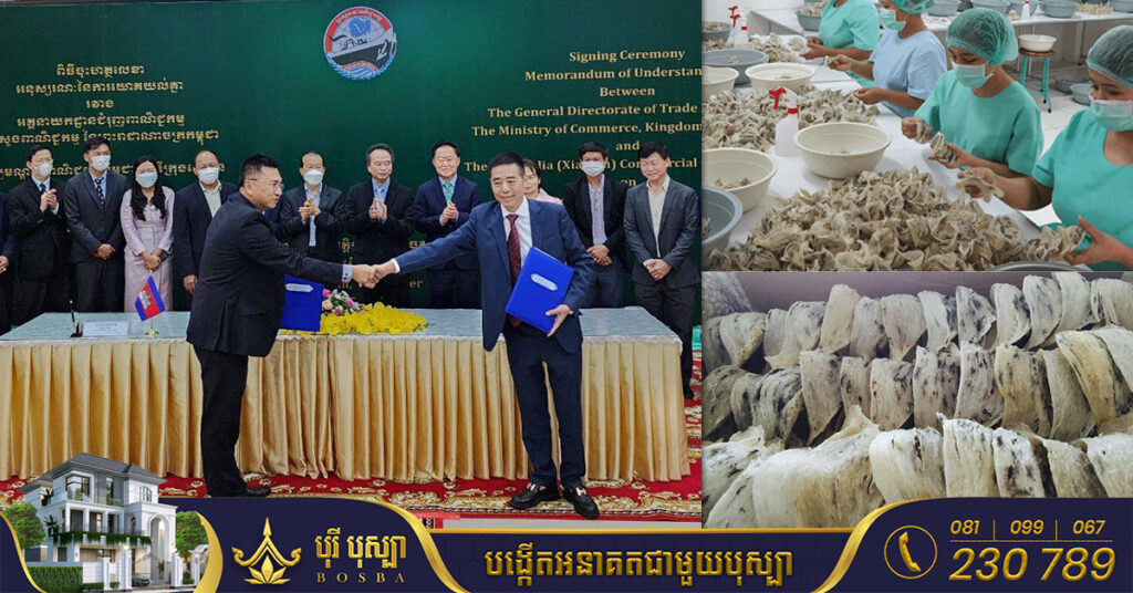 កម្ពុជា-ចិន ចុះអនុស្សរណៈនៃការយោគយល់គ្នា ស្តីពីកិច្ចសហប្រតិបត្ដិការជំរុញការនាំចេញសំបុកត្រចៀកកាំទៅកាន់ ប្រទេសចិន