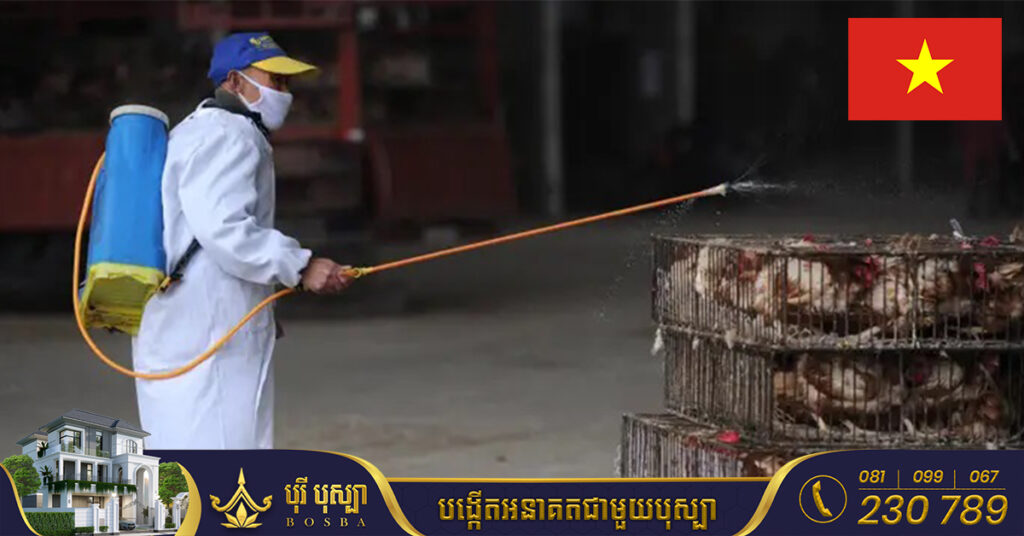 វៀតណាមរកឃើញ ករណីវីរុសផ្តាសាយបក្សី H5 នៅលើមនុស្សជាលើកដំបូង ក្នុងរយៈពេល៨ឆ្នាំមកនេះ
