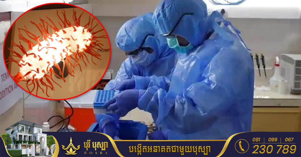 ជំងឺអាសន្នរោគ Cholera បានលេចឡើងសាជាថ្មីនៅប្រទេសហៃទី បណ្ដាលឱ្យពលរដ្ឋចំនួន ៧នាក់បាត់បង់ជីវិត