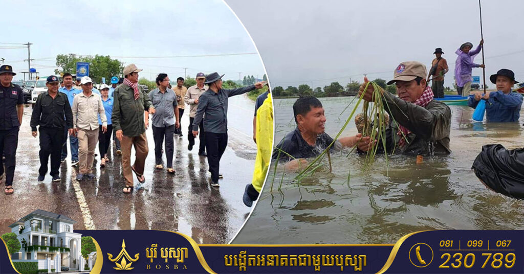 ដំណាំស្រូវជាង ៣២០០០ហិកតានៅខេត្តសៀមរាប កំពុងជន់លិចដោយជំនន់ទឹកភ្លៀង