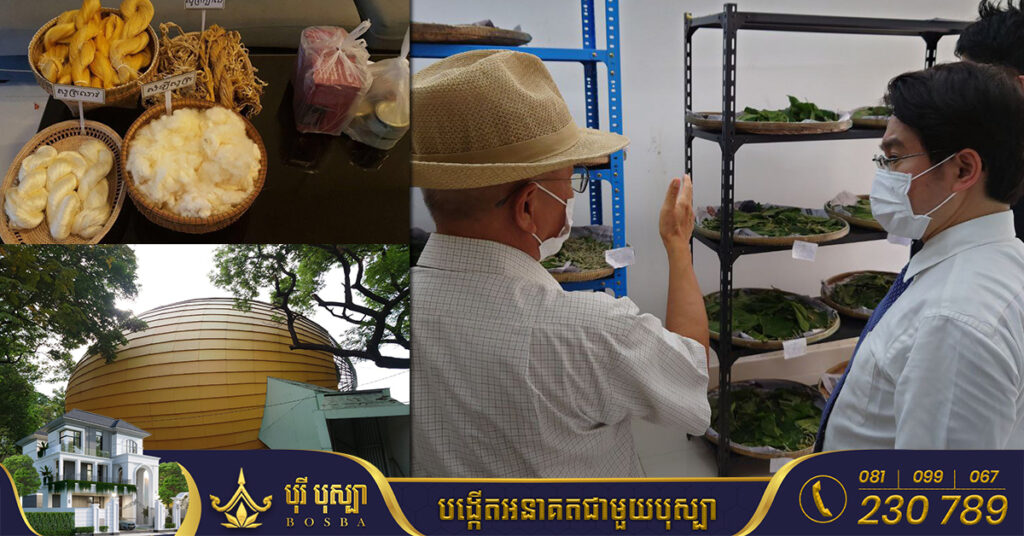 រដ្ឋាភិបាលជប៉ុនរំពឹងថា ជំនួយ«មជ្ឈមណ្ឌលសូត្រខ្មែរ» នឹងជួយជីវភាពកសិករចិញ្ចឹមដង្កូវនាង នៅកម្ពុជា