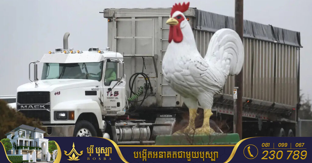 អង្គការសុខភាពពិភពលោក ប្រកាសពីការរកឃើញករណីជំងឺផ្តាសាយបក្សី H5N1 លើកម្មករកសិដ្ឋានចំនួន ២នាក់ នៅក្នុងប្រទេសអេស្ប៉ាញ