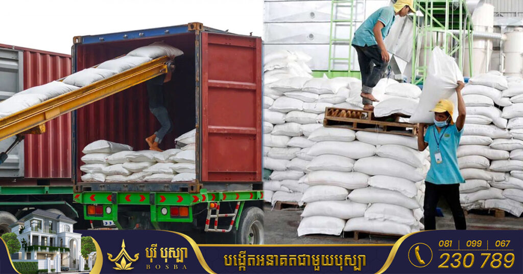 ការនាំចេញអង្កររបស់កម្ពុជា សម្រចបានជាង ៥០ម៉ឺនតោន គិតជាទឹកប្រាក់ ៣២៣.៩០លានដុល្លារ ក្នុងរយៈពេល១០ខែ