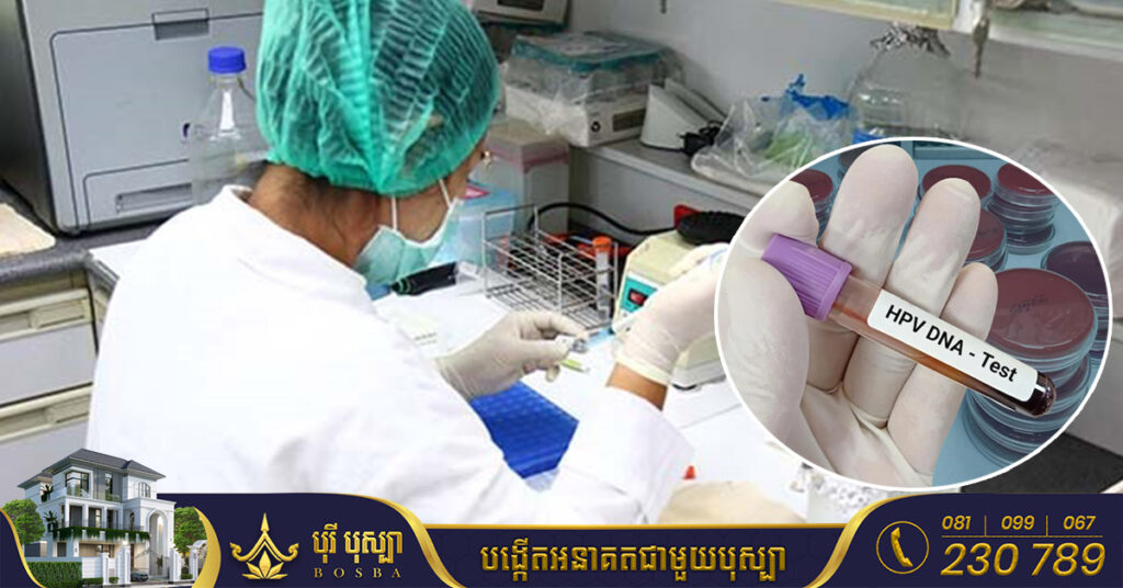 ក្រុមអ្នកជំនាញបង្ហាញក្តីព្រួយបារម្ភចំពោះជំងឺមួយប្រភេទ ដែលជាដើមហេតុបណ្តាលឲ្យស្រ្តីថៃ ១៣នាក់បាត់បង់ជីវិតជារៀងរាល់ថ្ងៃ