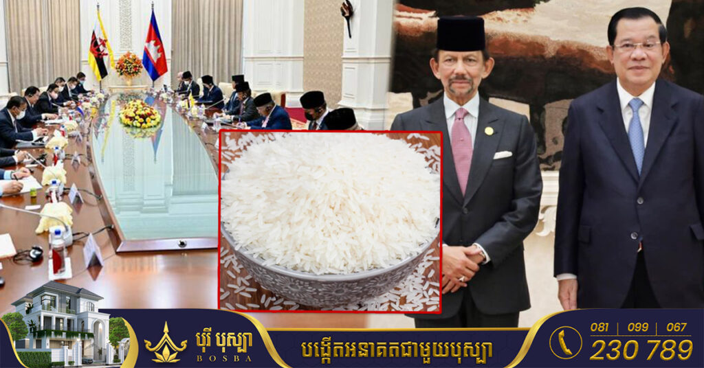 ព្រះចៅស៊ុលតង់ ស្នើរដ្ឋមន្ត្រីកសិកម្មប្រទេសទាំងពីរព្រុយណេ-កម្ពុជា សហការគ្នាលើវិស័យកសិកម្ម និងការនាំអង្ករផ្កាម្លិះចេញទៅប្រទេសព្រុយណេ