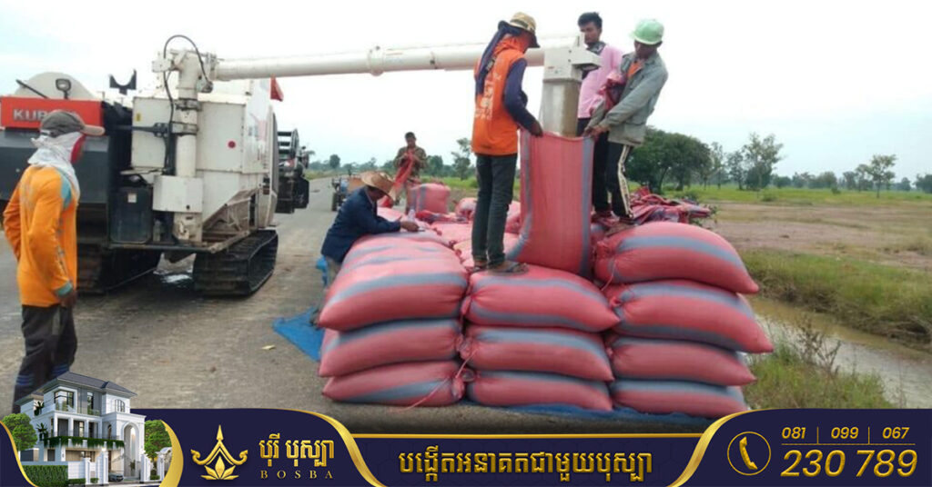 ក្រសួងកសិកម្ម ចេញសេចក្ដីប្រកាសព័ត៌មាន បញ្ជាក់ពីវឌ្ឍនភាពនៃដំណោះស្រាយ ចំពោះបញ្ហាស្រូវធ្លាក់ថ្លៃ នៅខេត្តបាត់ដំបង និងខេត្តបន្ទាយមានជ័យ