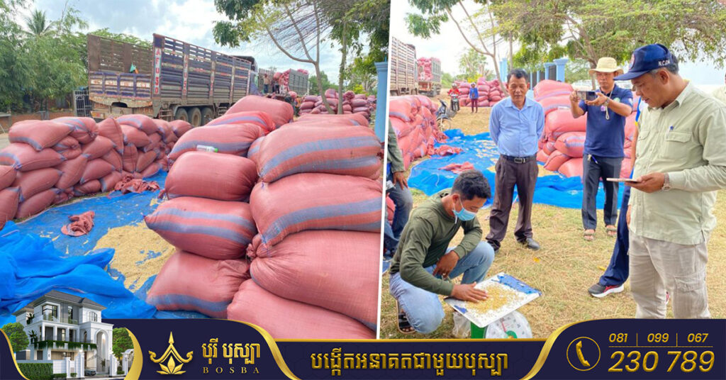 អភិបាលខេត្តបន្ទាយមានជ័យ៖ ស្រូវក្នុងខេត្តបន្ទាយមានជ័យ ត្រូវបានអនុវត្តដូចគ្នាទៅនឹងខេត្តបាត់ដំបងដែរ, តម្លៃស្រូវផ្ការំដួលមិនឲ្យក្រោម ១០៤០រៀលក្នុងគីឡូក្រាម