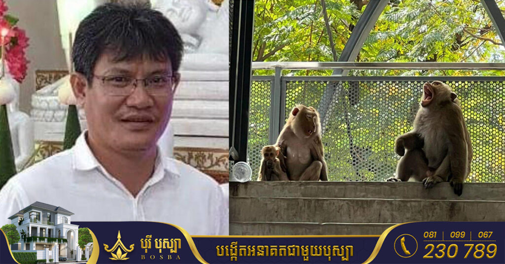 BREAKING: ក្រសួងការបរទេសកម្ពុជា កំពុងសម្របសម្រួលដើម្បីការពារ និងស្វែងរកយុត្តិធម៌ជូនមន្រ្តីរដ្ឋបាលព្រៃឈើ ដែលត្រូវចាប់ខ្លួននៅអាមេរិក ដោយសាររឿងសត្វស្វា