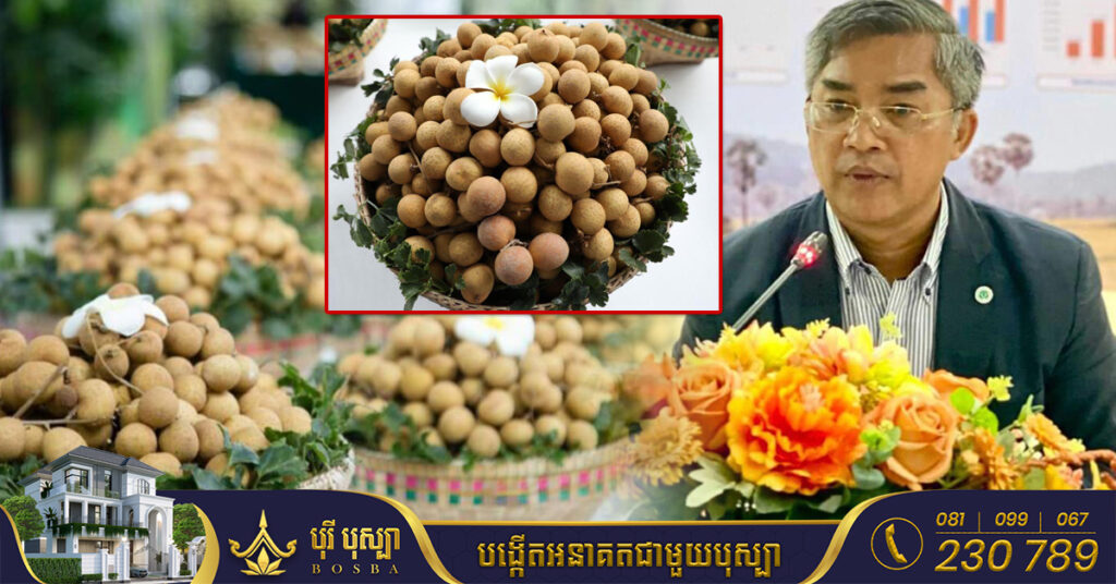 មន្ត្រី៖ ផ្លែមៀនស្រស់របស់កម្ពុជាជាង១ពាន់តោន ត្រូ​វបាននាំចេញទៅកាន់ប្រទេសចិន