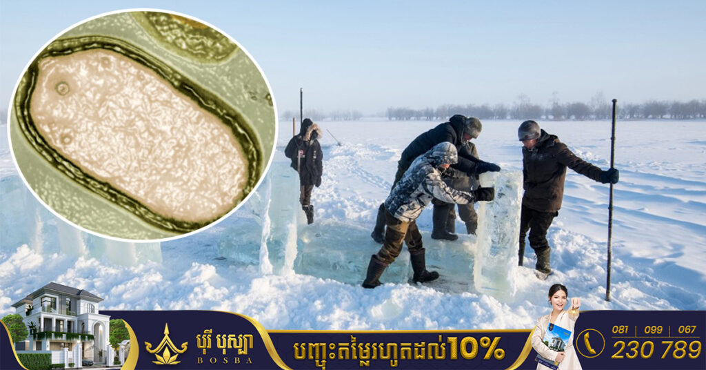 ក្រុមអ្នកវិទ្យាសាស្ត្រអឺរ៉ុប រកឃើញវីរុស «Zombie» មានអាយុកាល ៤៨,៥០០ឆ្នាំ